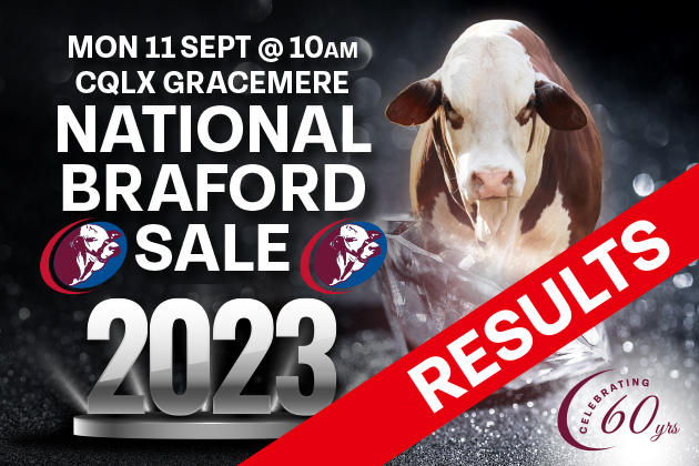 2023 National Braford Sale Results