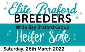 Elite Braford Breeders Sale 2022